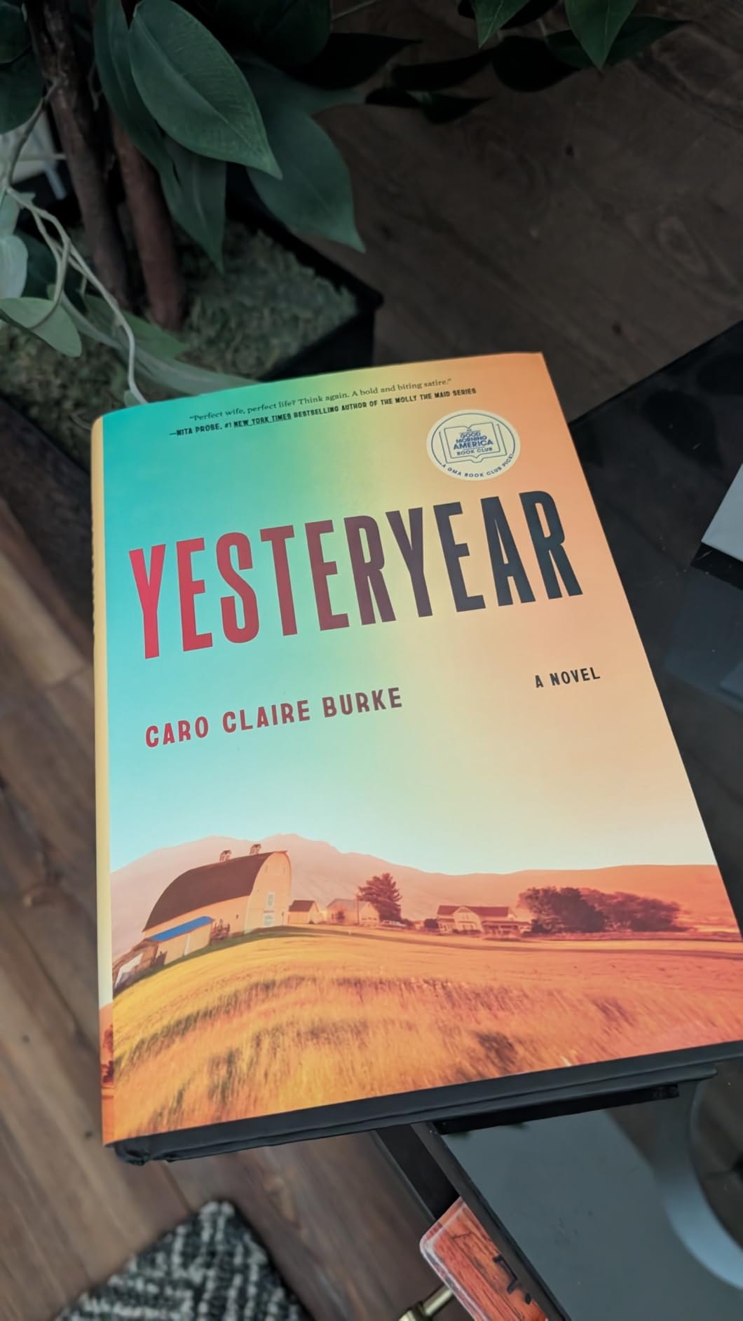 Yesteryear by Caro Claire Burke — GMA Book Club Pick customer review photo 1